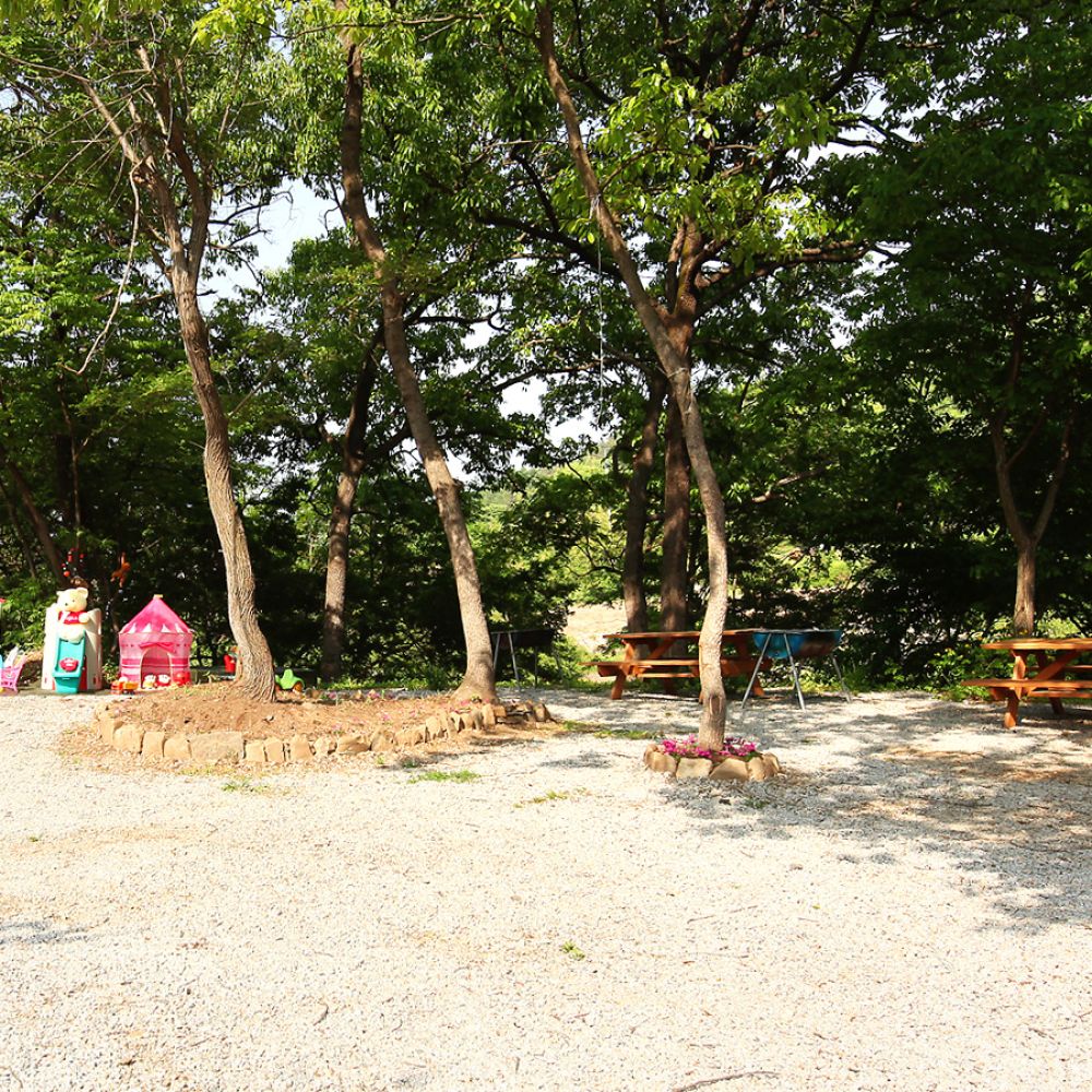 주간전경