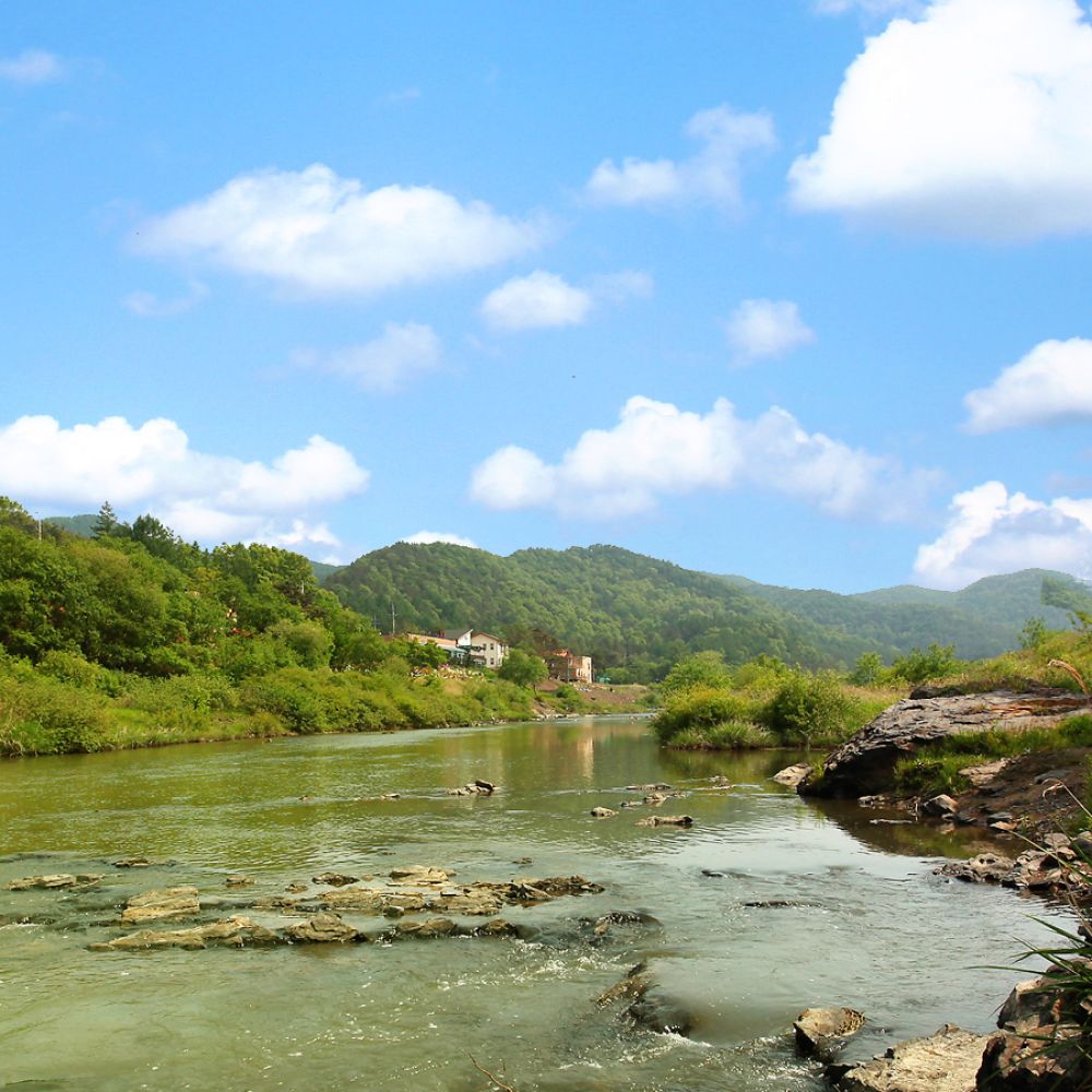 주간전경